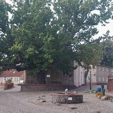 Friedenseich im Dorf - Grundstück in Rheinsberg zum Kaufen