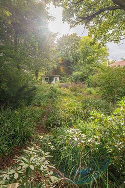 Gartenhaus / Garten - 