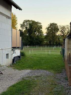 Blick Richtung Garten - 4 Zimmer Einfamilienhaus in Essingen