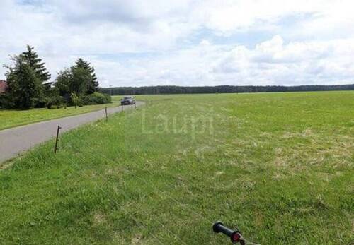 Grundstücksansicht im Sommer 10 - Ortsausgang - 