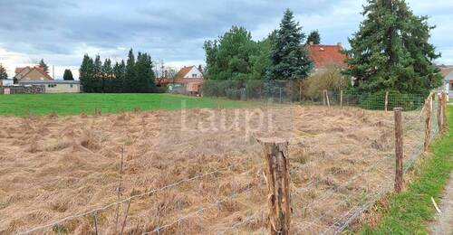 Grundstücksansicht 01 - Blick zur Nachbarseite - Grundstück zum Kaufen in Jämlitz-Klein Düben