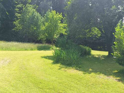 ja IMG20250612154151.jpg - 