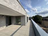 sonnige Dachterrasse - 