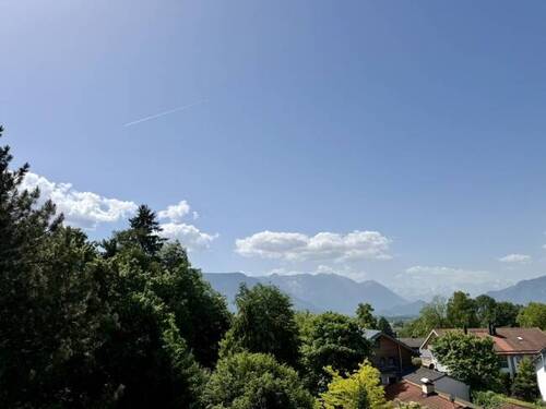 toller Weitblick - 