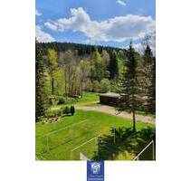 Himmlische Dachgeschosswohnung zum Wohlfühlen in herrlicher Umgebung! - Rechenberg-Bienenmühle Holzhau