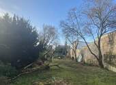 Rückseitiger Gartenbereich - 