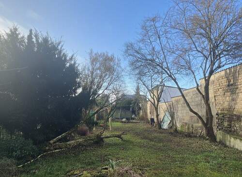 Rückseitiger Gartenbereich - 
