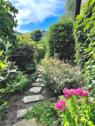 Garten - 