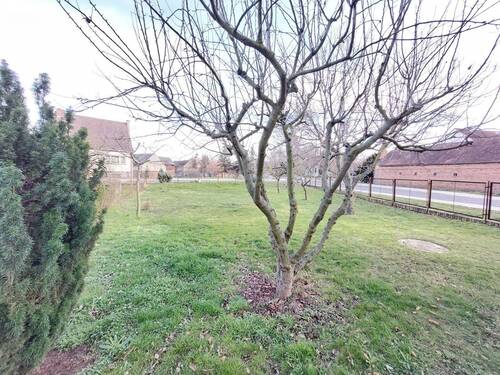 Garten - 