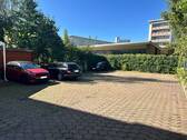 IMG_3725.jpeg - 