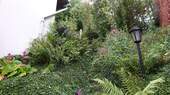 Terrassengarten - 