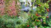 Blick auf den Hof - 