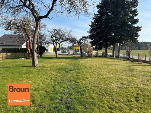 Braun Immobilien00005 - Grundstück in Mönchweiler