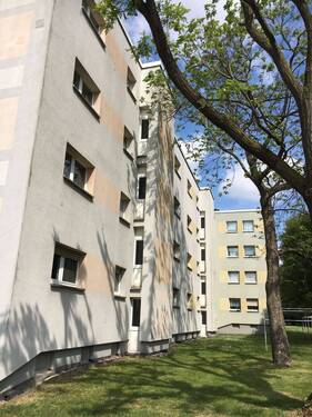 Gebäude Rückseite mit Bick in die Grünanlage mit Bäumen und Sträuchern - Nachmieter für tolle 3-Zimmerwohnung in zentraler Lage gesucht!