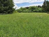 Grundstücksfoto - Grundstück zum Kaufen in Prüm - Weinsfeld