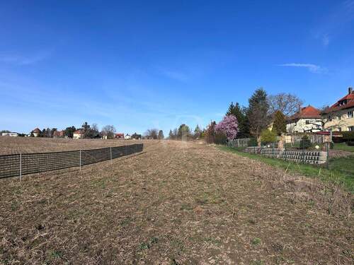 Bauland - 