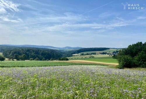 Blick auf den Ziegelberg - Lifestyle trifft Natur: Baugrundstück am Fuß des Ziegelbergs