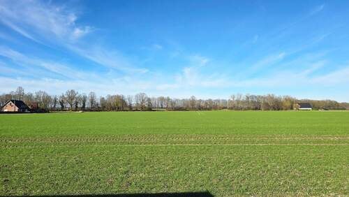 14_Ausblick vom Grundstück.jpg - 