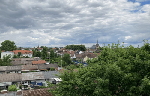 Blick über Flörsheim mit Dächern und Büschen, im Hintergrund die Kirche.PNG - 