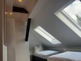 Ausgebautes DG - 