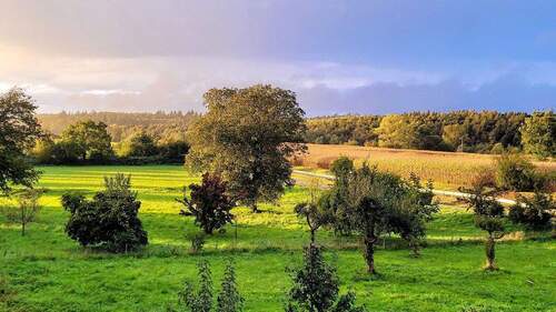 Blick Richtung Westen - 