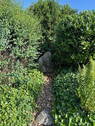 Bild 17 - 