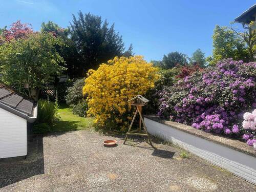 Blütenpracht im Sommer - 