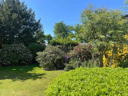 Blick in den Garten - 