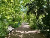 Parkanlage - 