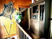 Galerie - 