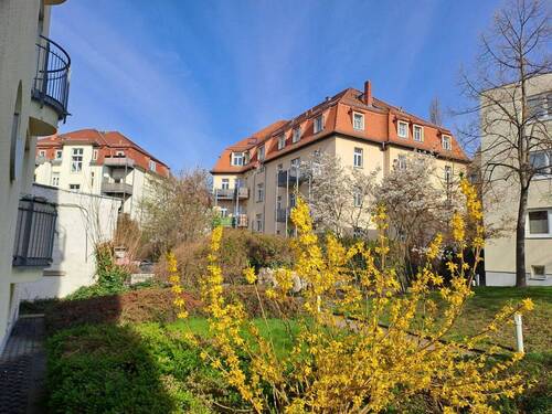 Außenanlagen(5) - Wohnung in Dresden - 150.000,00&nbsp;EUR Kaufpreis, ca.&nbsp; 50,00&nbsp;m&sup2;&nbsp;Wohnfl&auml;che