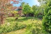 Blick in den Garten - 