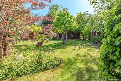 Blick in den Garten - 