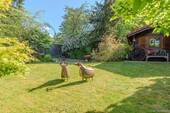Blick in den Garten 2 - 
