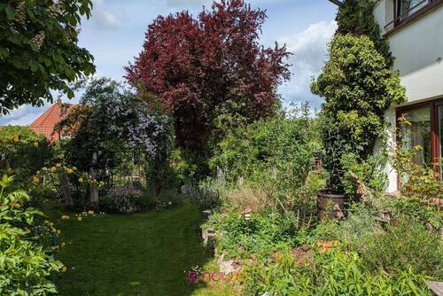 Blick in den großen Garten - 