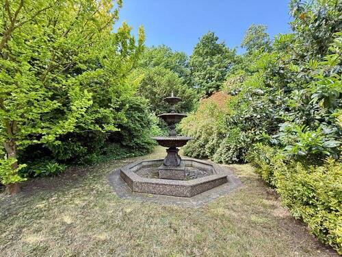 Gartenimpressionen - 