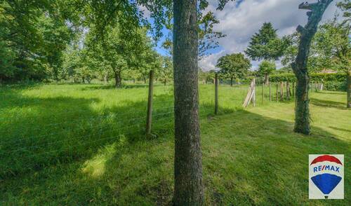 Remax-40 - 