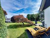 Sonnenecke - 