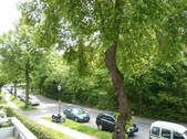Blick vom Balkon - 