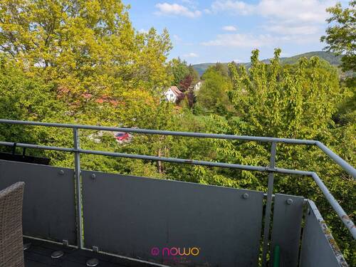 Blick vom Balkon - Zwei Zimmer mit Harzblick vom Balkon - auch als FeWo nutzbar!