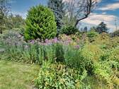 Blumenbeete - 