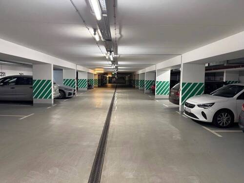 Tiefgarage - Einfamilienhaus zum Kaufen in Nürnberg