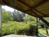 Blick vom Balkon in Ihren Garten - 