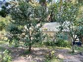 Glashaus auf einer unteren Ebene - 