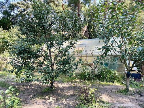 Glashaus auf einer unteren Ebene - 