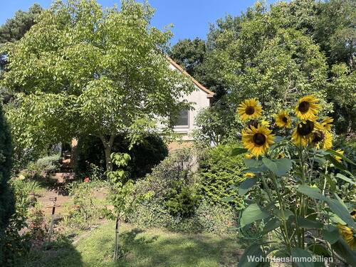 Haus im Garten zu entdecken - 