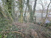 Bild6 - 