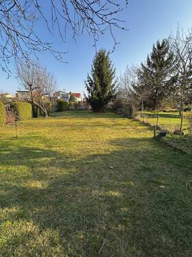 Garten - 5 Zimmer Einfamilienhaus zum Kaufen in Erfurt