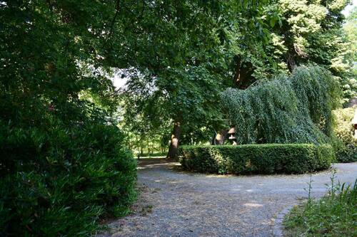 Rondell mit Auffahrt - 8 Zimmer Mehrfamilienhaus, Wohnhaus zum Kaufen in Wingst