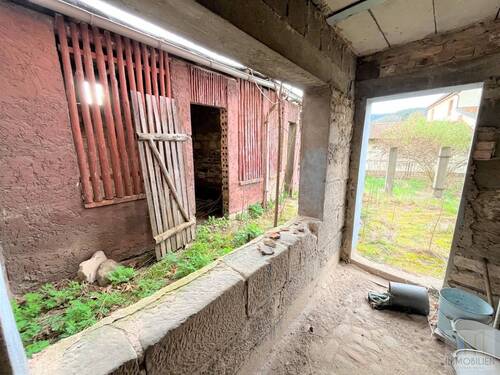 Ausgang zum Garten - 